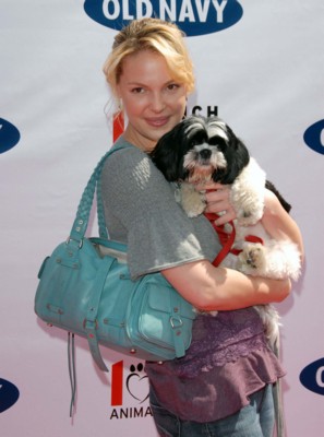 Katherine Heigl Poster 1426021