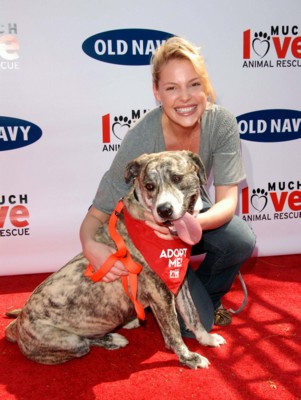 Katherine Heigl Poster 1426023