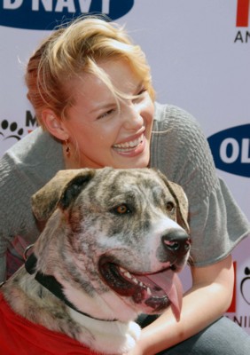 Katherine Heigl Poster 1426024