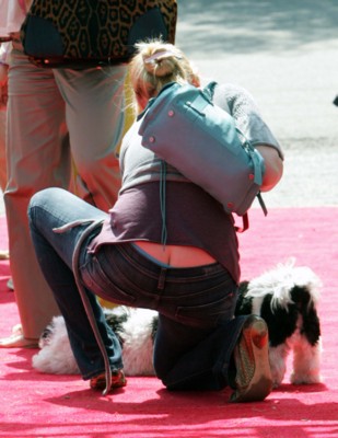 Katherine Heigl Poster 1426029