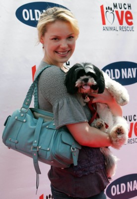 Katherine Heigl Poster 1426031