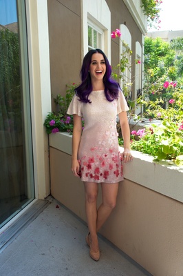 Katy Perry Poster 2224943