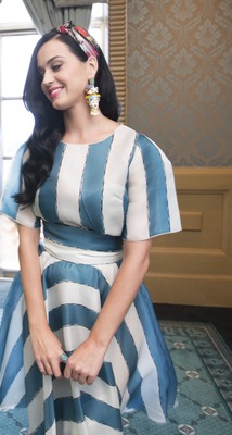 Katy Perry Poster 2430433