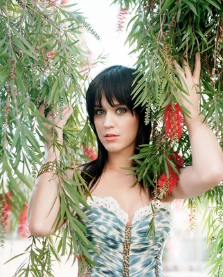 Katy Perry Poster 3816072