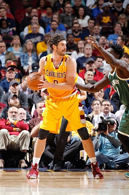 Kevin Love Poster 3421482