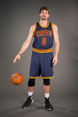 Kevin Love Poster 3421807