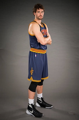 Kevin Love Poster 3421822