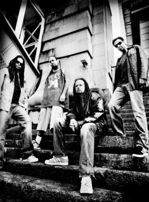 Korn Poster 2524808