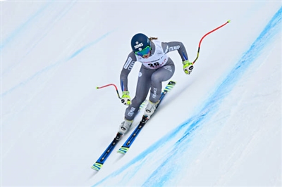 Laura Gauche Poster 3640452