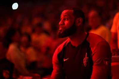 LeBron James Poster 3410904