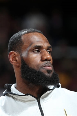 LeBron James Poster 3410930