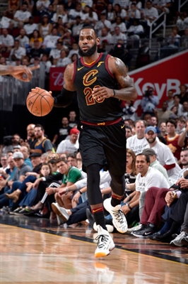 LeBron James Poster 3410939