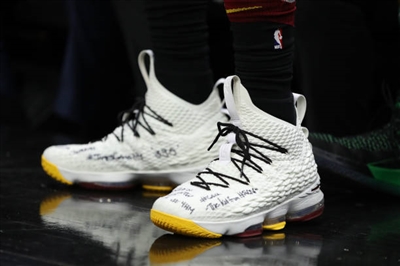 LeBron James Poster 3411010