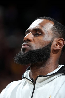 LeBron James Poster 3411042
