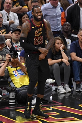 LeBron James Poster 3411047