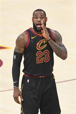 LeBron James Poster 3411139