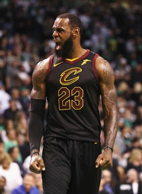 LeBron James Poster 3411192