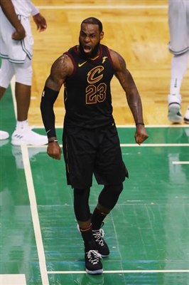 LeBron James Poster 3411193