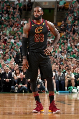 LeBron James Poster 3411219