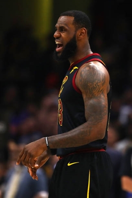 LeBron James Poster 3411227