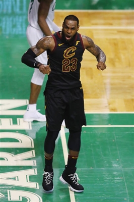 LeBron James Poster 3411232