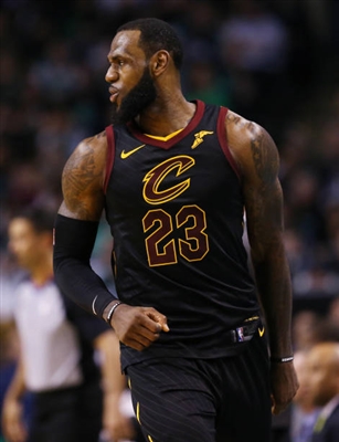 LeBron James Poster 3411260