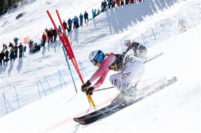 Lena Duerr Poster 3642064