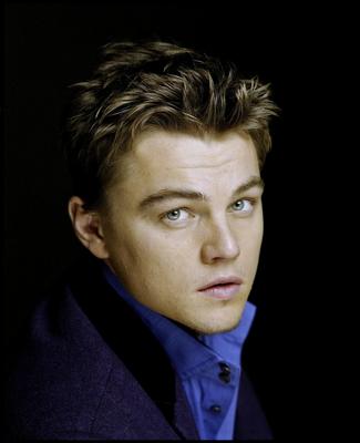 Leonardo DiCaprio Poster 2116125