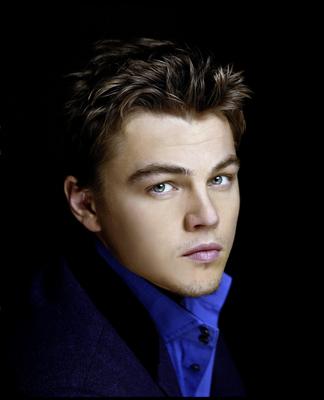 Leonardo DiCaprio Poster 2116126