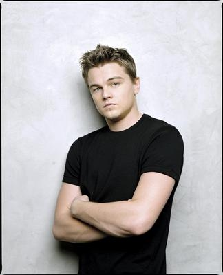 Leonardo DiCaprio Poster 2116127