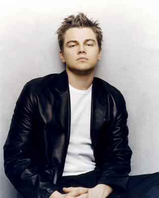 Leonardo DiCaprio Poster 2116129