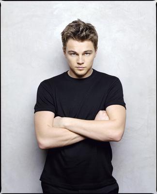 Leonardo DiCaprio Poster 2116130