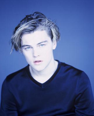 Leonardo DiCaprio Poster 2116131