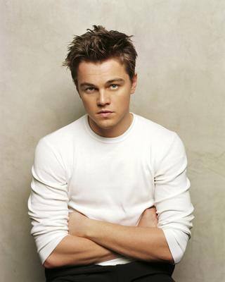 Leonardo DiCaprio Poster 2116132