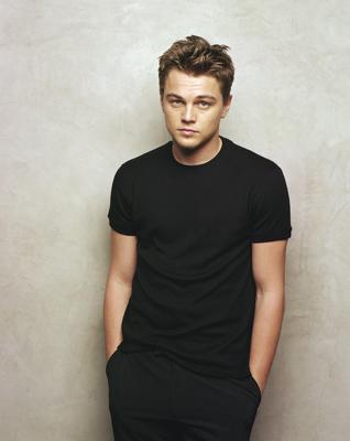 Leonardo DiCaprio Poster 2116134