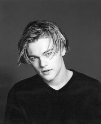 Leonardo DiCaprio Poster 2116136