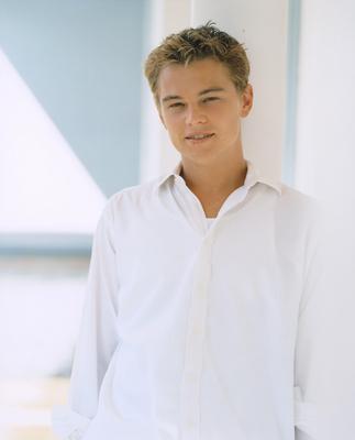 Leonardo DiCaprio Poster 2119305