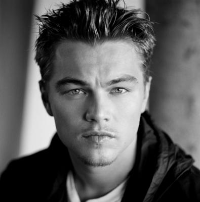 Leonardo DiCaprio Poster 2119312