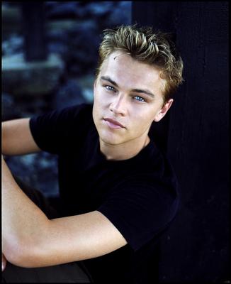 Leonardo DiCaprio Poster 2119313