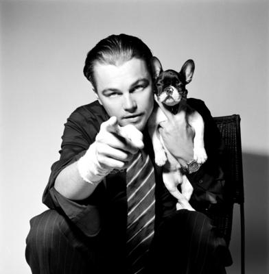 Leonardo DiCaprio Poster 2119314
