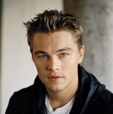 Leonardo DiCaprio Poster 2119315