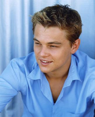 Leonardo DiCaprio Poster 2119318
