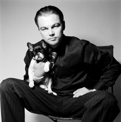 Leonardo DiCaprio Poster 2119319
