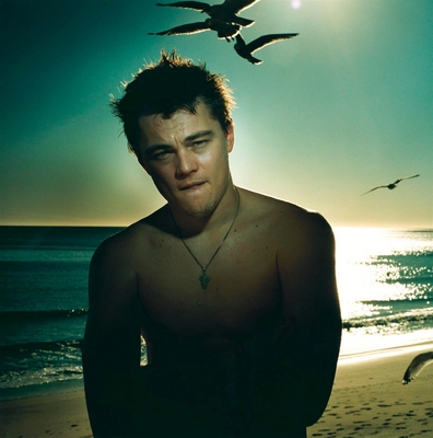 Leonardo DiCaprio Poster 2211722