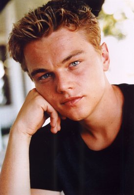 Leonardo DiCaprio Poster 2211731