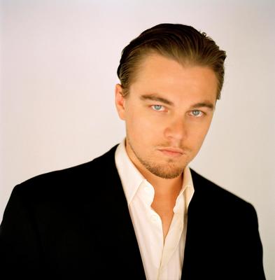 Leonardo DiCaprio Poster 2211735
