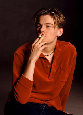 Leonardo DiCaprio Poster 2211736