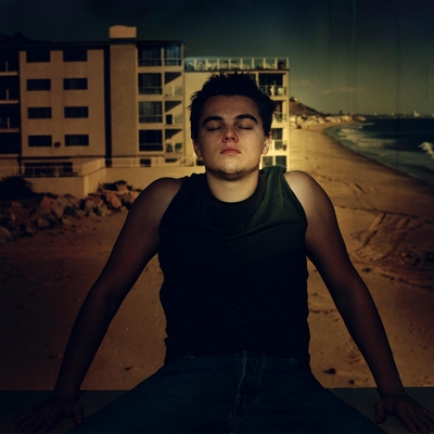 Leonardo DiCaprio Poster 2211738