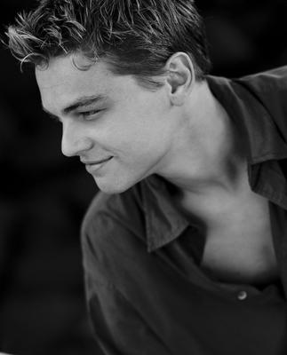 Leonardo DiCaprio Poster 2211740
