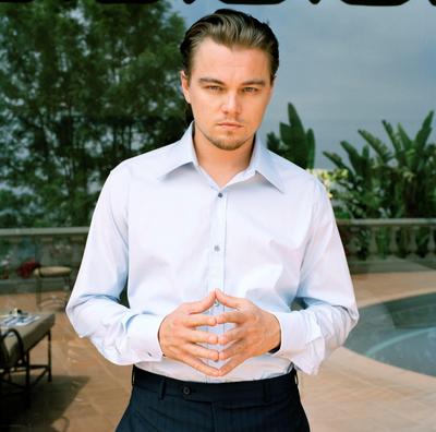 Leonardo DiCaprio Poster 2211750